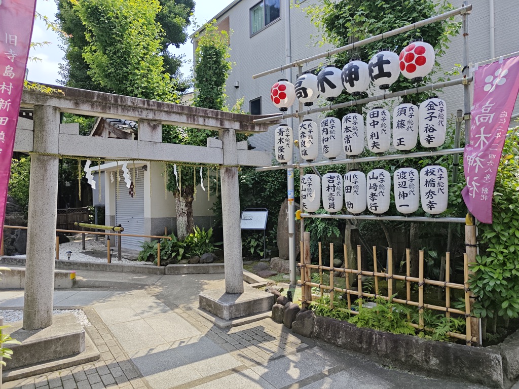Image 11